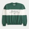 Baggy Cinch Charleston Grafikli Crew Sweatshirt Baggy Cinch Charleston Grafikli Crew Sweatshirt