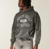 Boxy Forest Hills Athletics Grafik Kapüşonlu Sweatshirt Boxy Forest Hills Athletics Grafik Kapüşonlu Sweatshirt
