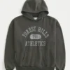 Boxy Forest Hills Athletics Grafik Kapüşonlu Sweatshirt Boxy Forest Hills Athletics Grafik Kapüşonlu Sweatshirt