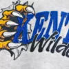 Boxy Kentucky Üniversitesi Wildcats Grafik Kapüşonlu Sweatshirt