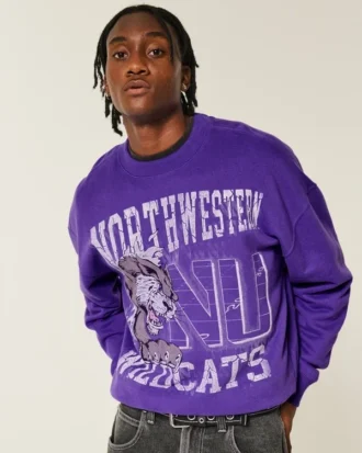 Boxy Northwestern University Wildcats Grafikli Crew Sweatshirt