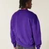 Boxy Northwestern University Wildcats Grafikli Crew Sweatshirt