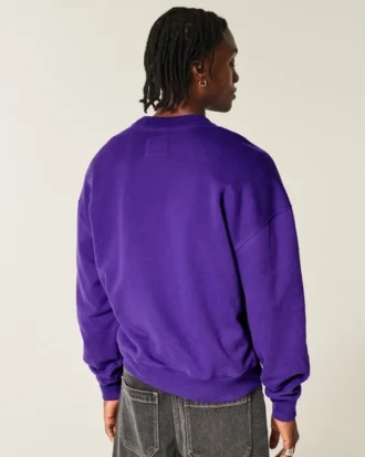 Boxy Northwestern University Wildcats Grafikli Crew Sweatshirt