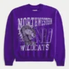 Boxy Northwestern University Wildcats Grafikli Crew Sweatshirt