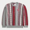 Boxy Ohio State Üniversitesi Buckeyes Grafikli Crew Sweater