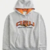 Boxy Oregon State Üniversitesi Beavers Grafik Kapüşonlu Sweatshirt Boxy Oregon State Üniversitesi Beavers Grafik Kapüşonlu Sweatshirt