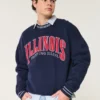 Boxy University of Illinois Fighting Illini Grafikli Crew Sweatshirt Boxy University of Illinois Fighting Illini Grafikli Crew Sweatshirt