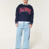 Boxy University of Illinois Fighting Illini Grafikli Crew Sweatshirt Boxy University of Illinois Fighting Illini Grafikli Crew Sweatshirt