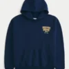 Boxy University of Notre Dame Fighting Irish Grafik Kapüşonlu Sweatshirt