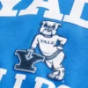 Boxy Yale Bulldogs Grafik Kapüşonlu Sweatshirt