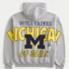 Boxy Zip-Up University of Michigan Wolverines Grafik Kapüşonlu Sweatshirt