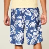 Diz Boyu Boardshorts Diz Boyu Boardshorts