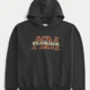 Florida A&M Üniversitesi Rattlers Grafik Kapüşonlu Sweatshirt