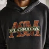 Florida A&M Üniversitesi Rattlers Grafik Kapüşonlu Sweatshirt