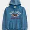 Holiday Vault Release Logo Grafik Kapüşonlu Sweatshirt Holiday Vault Release Logo Grafik Kapüşonlu Sweatshirt