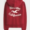 Holiday Vault Release Sherpa Astarlı Fermuarlı Logo Grafik Kapüşonlu Sweatshirt Holiday Vault Release Sherpa Astarlı Fermuarlı Logo Grafik Kapüşonlu Sweatshirt