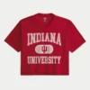Indiana Üniversitesi Hoosiers Grafik Futbol Forması Indiana Üniversitesi Hoosiers Grafik Futbol Forması