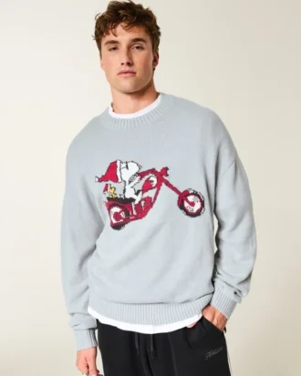 Kutu Şeklinde Snoopy Grafikli Kazak