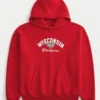 Kutu kesim Wisconsin Üniversitesi Badgers Grafik Kapüşonlu Sweatshirt Kutu kesim Wisconsin Üniversitesi Badgers Grafik Kapüşonlu Sweatshirt