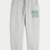 Michigan State Üniversitesi Spartans Grafik Baggy Cinch Polar Jogger Pantolon Michigan State Üniversitesi Spartans Grafik Baggy Cinch Polar Jogger Pantolon