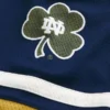 Notre Dame Üniversitesi Fighting Irish Grafik Hokey Forması
